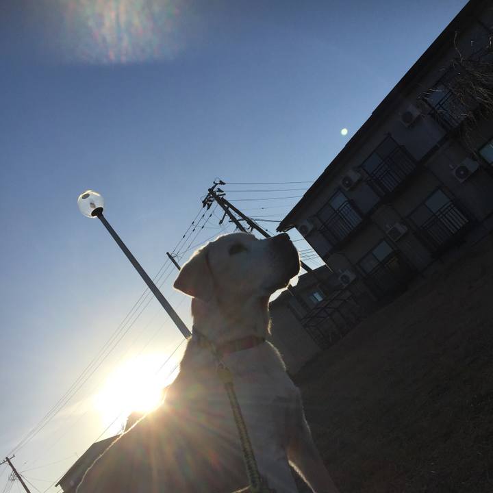 4ee58e28 cbbc 42bf b3fd dd9183c3e6d4 1543734418184