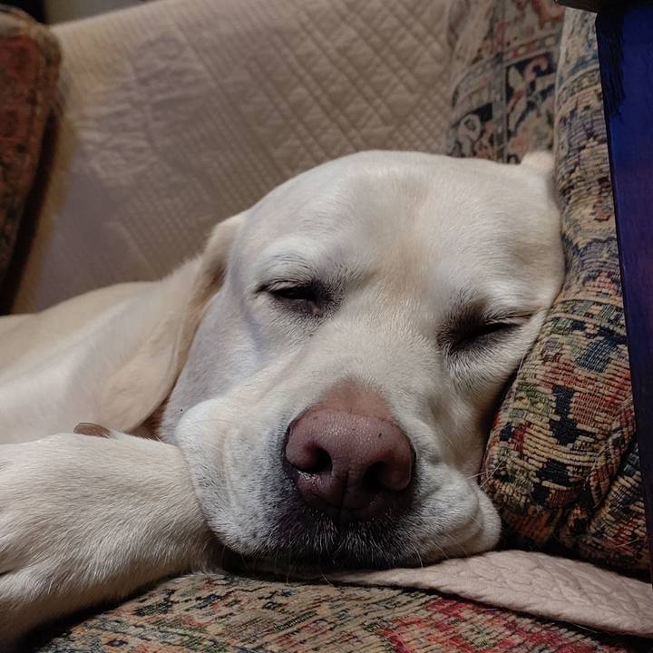 4ee63f2e 456f 4bd2 8b79 1f9383de06d2 1670240606205