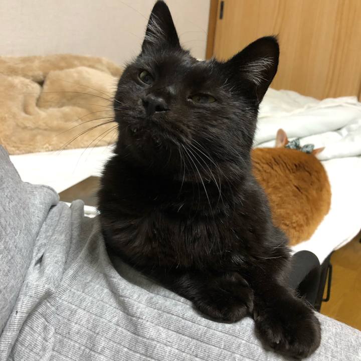 4ee648e0 31ff 46f9 9348 87a7d806d28f 1588504541699