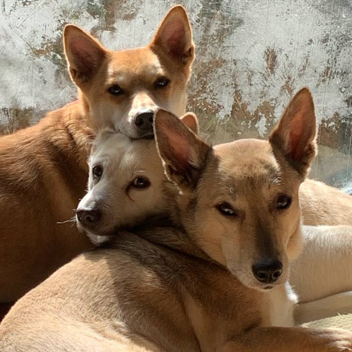 4ee65126 f7d5 4613 ba45 3a112937341c 1612000079935