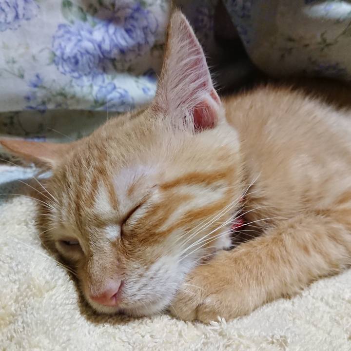 4ee65401 ea56 4551 b622 4682b5123af3 1631710476177