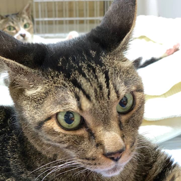 4ee67f45 c5a6 46d6 a07c 5295af573630 1599268555849