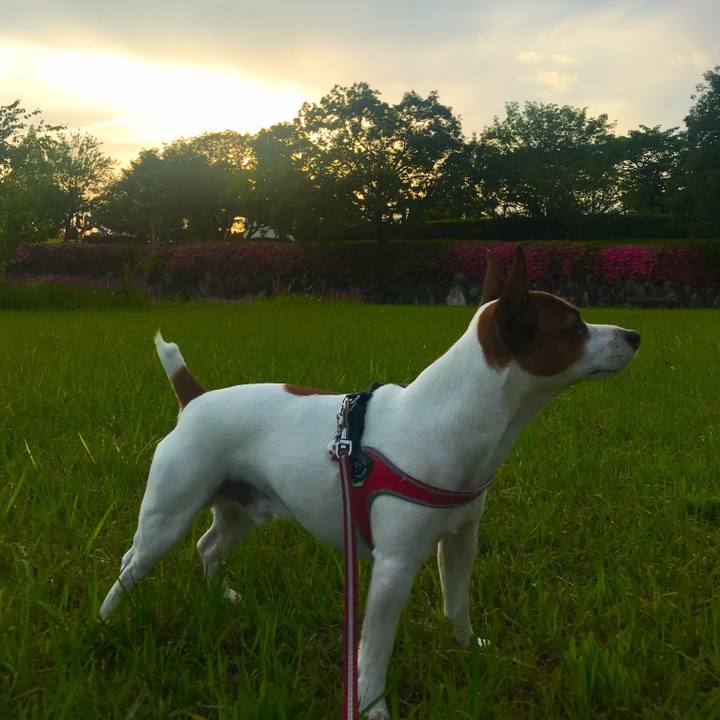 4ee69661 9004 4abc b4d3 c76e8cb8d41e 1526842325878