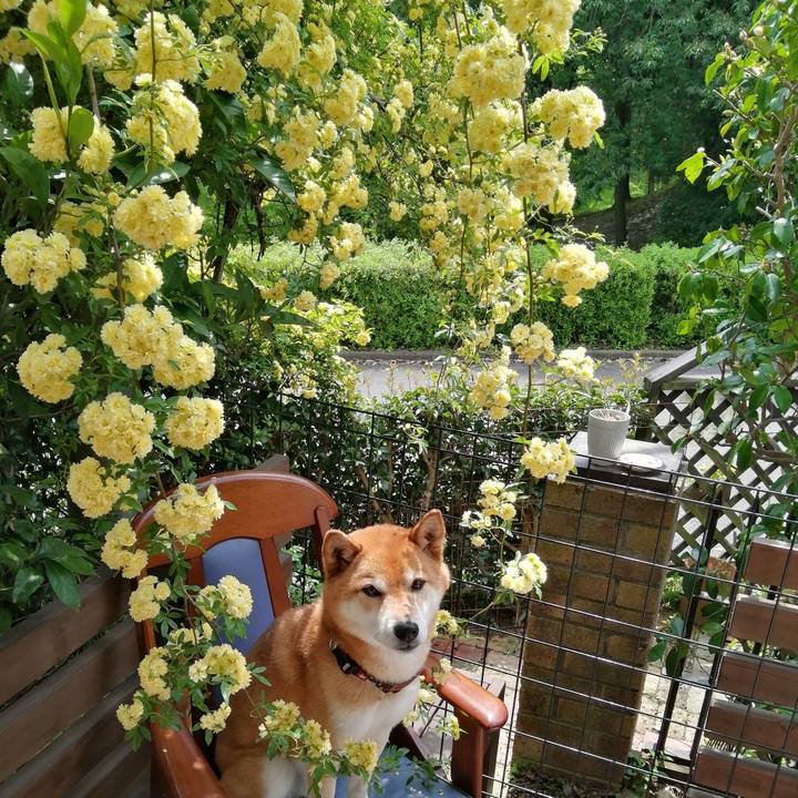 4ee6b688 8f64 43e7 ae0a 8c29f49b51d9 1650710098127