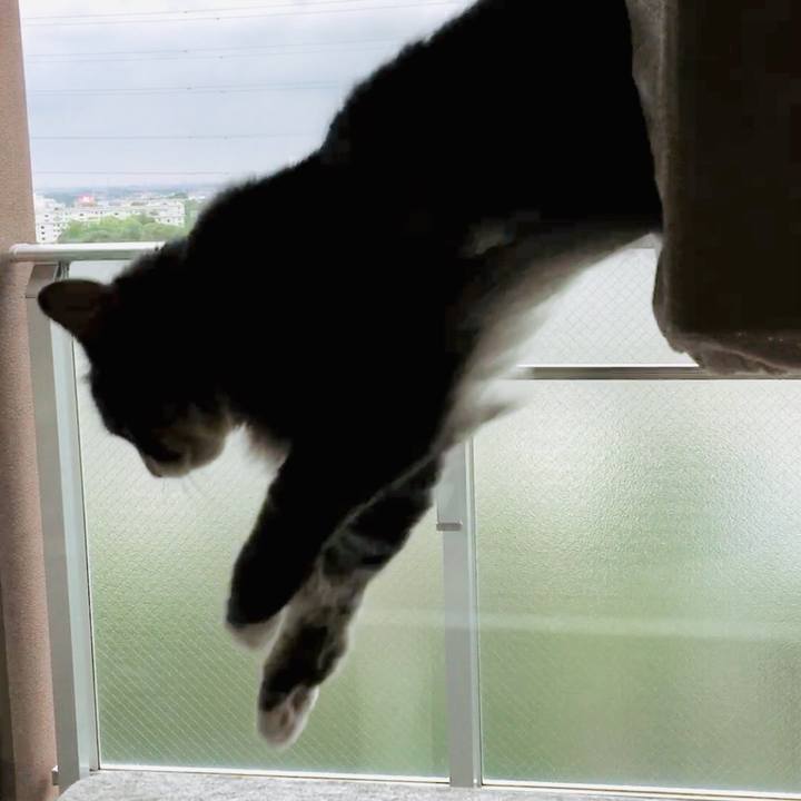 4ee6c646 6591 454c a1ad f9a73edb214d 1561430526720