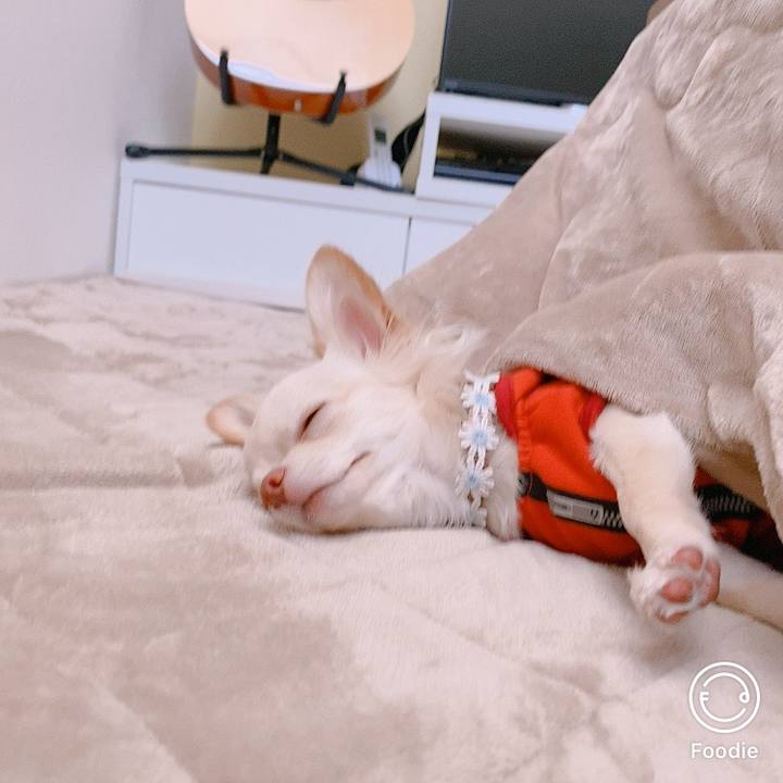 4ee6e23a 5f72 435a 9409 0aa82fdb07a2 1605665246264