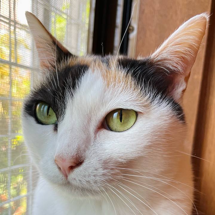 4ee6fd9a a2b7 4dbc b0c4 032a1700045d 1653703833061