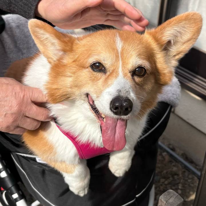 4ee7198d 1a5f 489a b1b6 38b698b6bde0 1738831086898