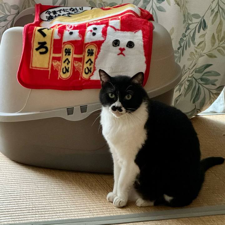 4ee722aa 790f 45bf a23f 59b80b0a4f73 1718591329401