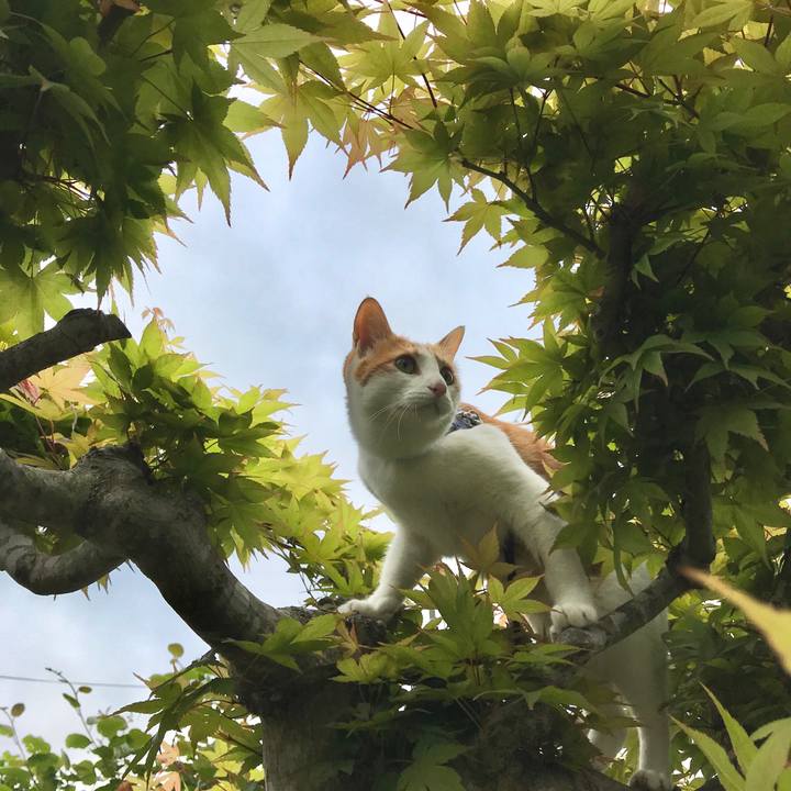 4ee736db d893 452f 964c a39a513d834f 1526180923485