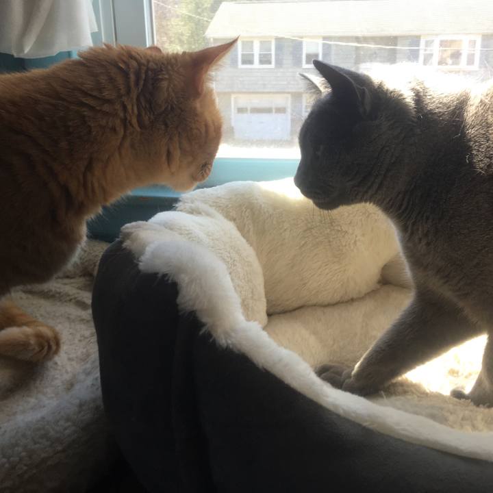 4ee79437 d76b 4d36 83d1 f286d104dd87 1617466923278