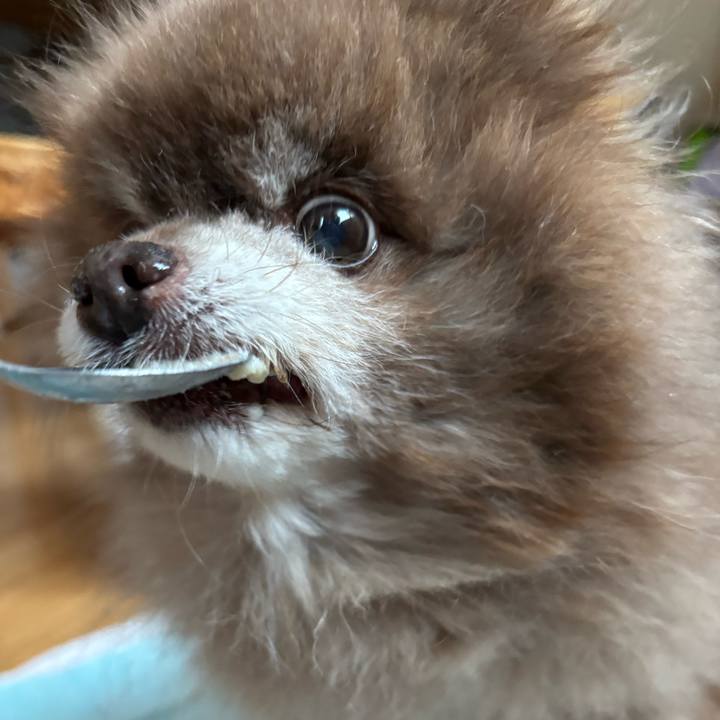 4ee7a803 5add 4998 9516 5981f4337493 1774127474045