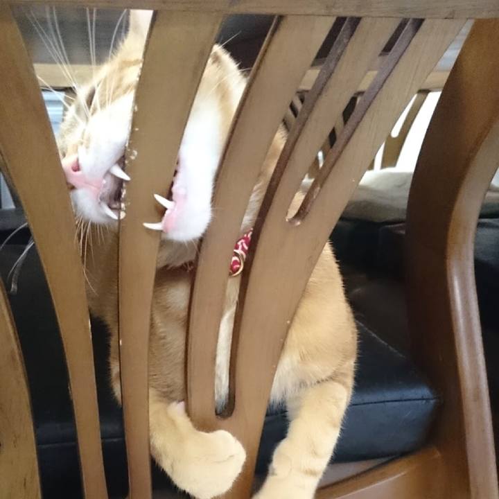 4ee7b9bd 6288 49bb 95f5 fe3bf9afcd92 1575636989266