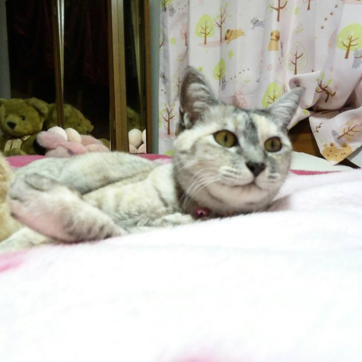 4ee7c3f7 51eb 4576 a0a6 961c0b0e1b94 1511517311797