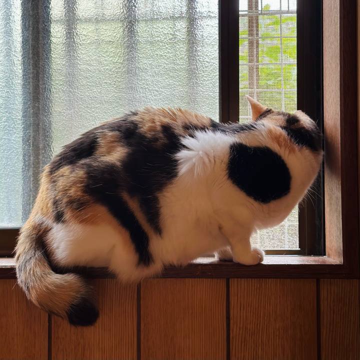 4ee7ee8f 6ea8 4cea 9469 491e888fc2af 1690078733269