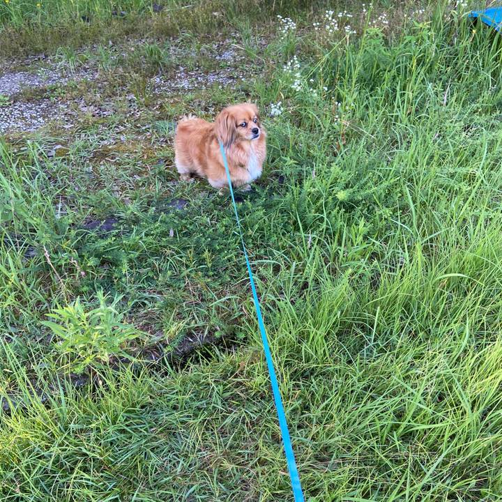 4ee82475 5c66 4c2a 9fb6 4f7299a6396a 1656366208144