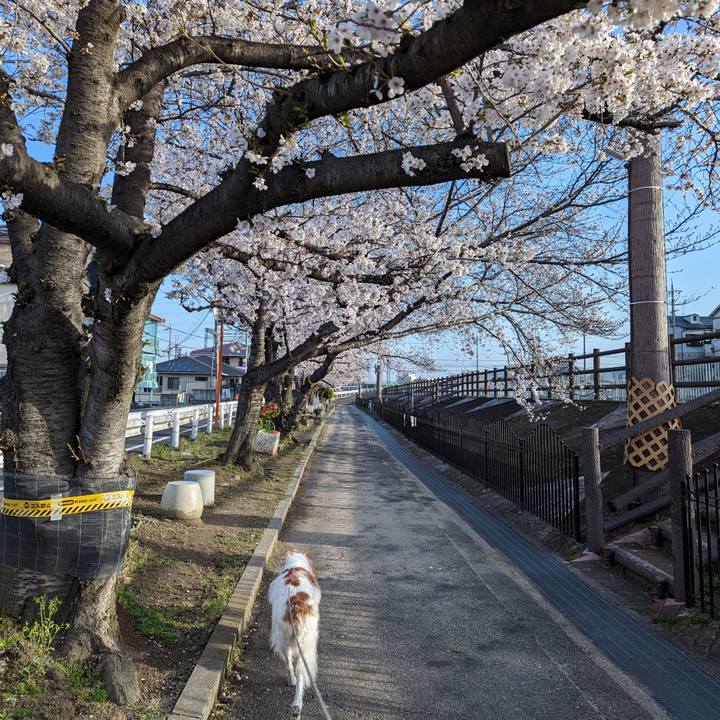 4ee83674 c298 467d 8928 2e720d3722cb 1679965292582