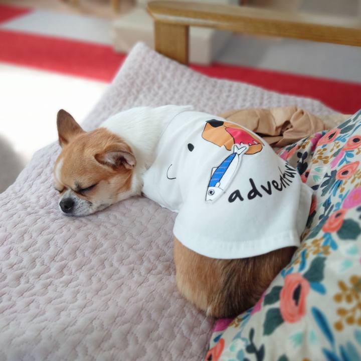 4ee84be3 9acd 469a a7be fc97e0fa8c28 1626683013338