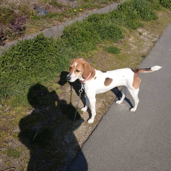 4ee88890 bbce 423f 9077 0590f077a61b 1584003544441