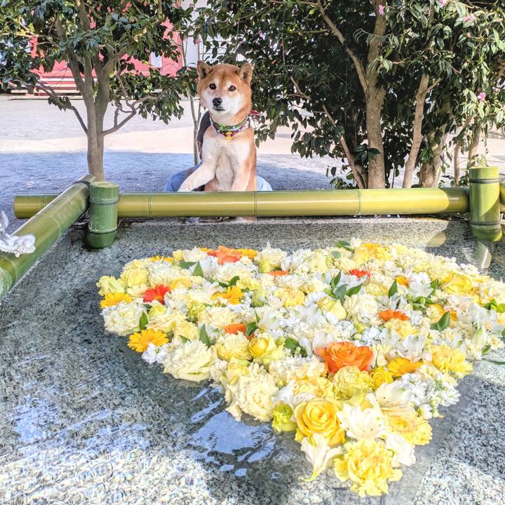 4ee88bda e35f 414f adec 6b0da1151e25 1740961568134