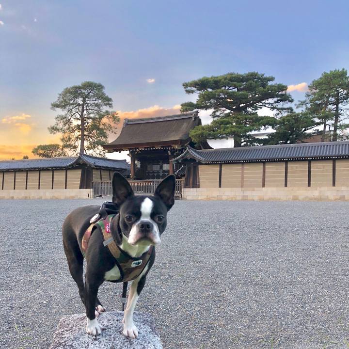 4ee8c86d 68c7 4ab7 bc18 b8fff9ef6bc9 1538385871443