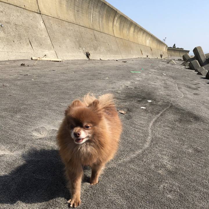 4ee8da72 ade9 4054 abfd a965674ad5da 1522040507425