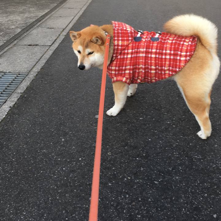 4ee8ddfc ff15 4944 a3a0 680bc5200455 1548315759108