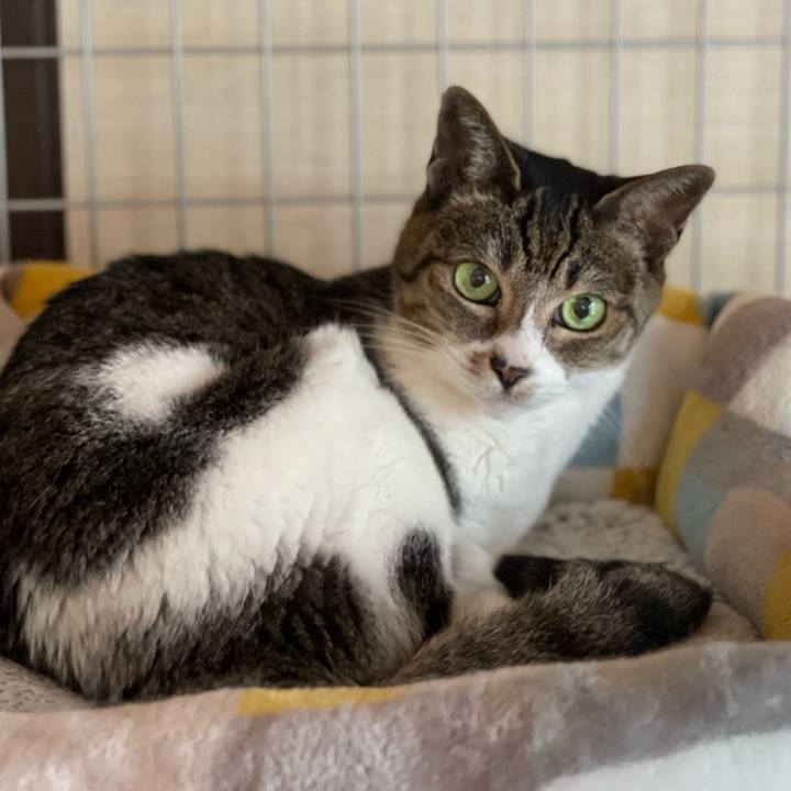 4ee8efc9 3922 4b0f bb0f 67fd6d515133 1652062705513