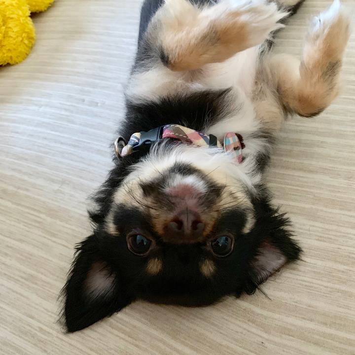 4ee8f3bc ddf5 47aa be93 6088569d4fb4 1564821832505