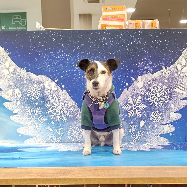 4ee942b6 f875 4ff9 8058 f14a991a3a53 1639913875837