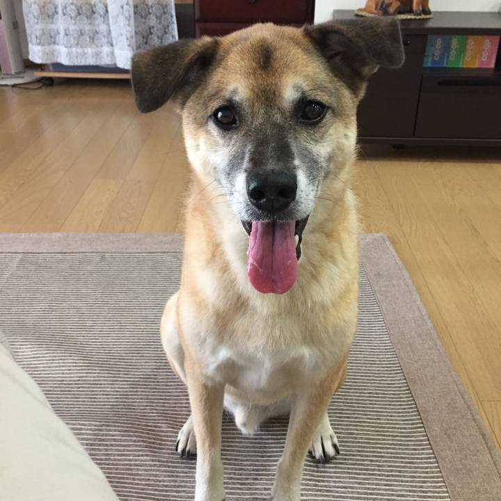 4ee94d0d f060 4f43 9e79 3275ed3773e5 1533447311792