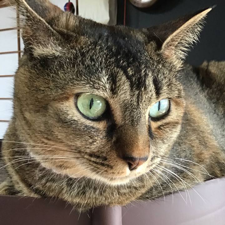 4ee95e85 d96d 4827 9544 820533b80874 1721295423342