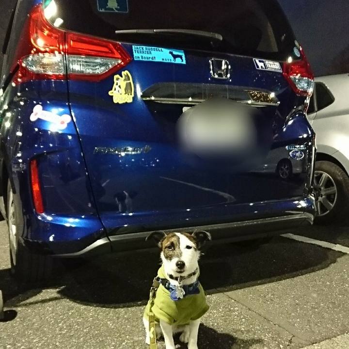 4ee9631d a601 44a0 96fd 71f7ec670158 1518339869170