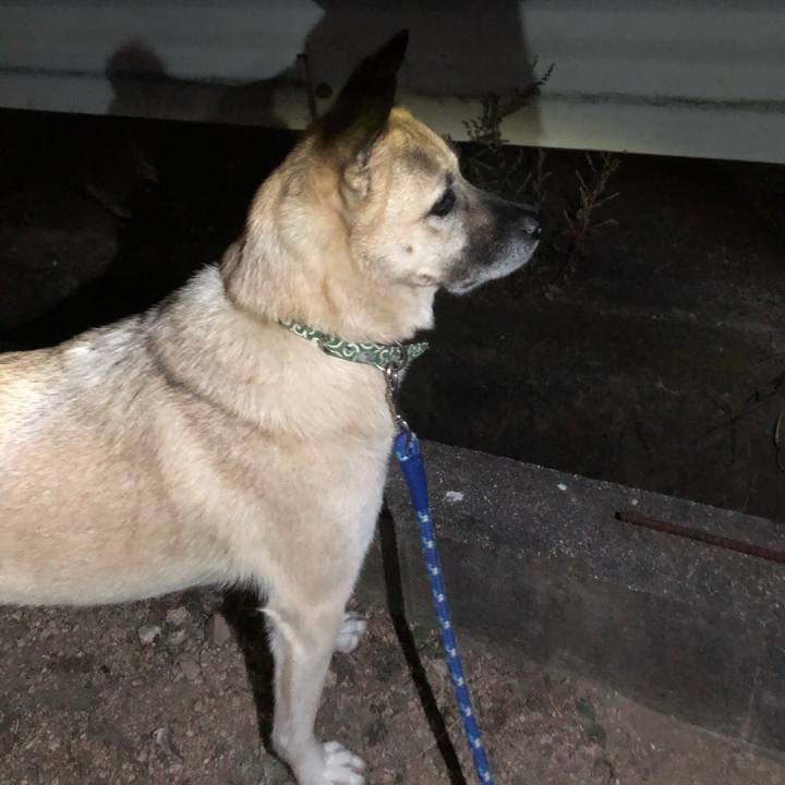 4ee98502 7ced 4278 b666 3317cd9e1086 1634817706099