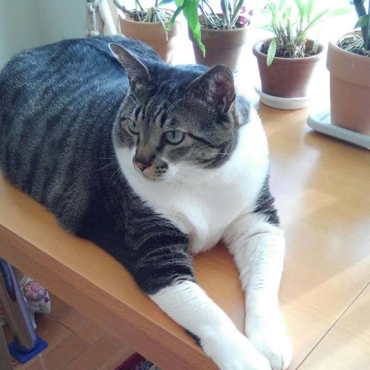 4ee9a6ec 1490 4e4c 8589 51e7a0915afb 1516920500384