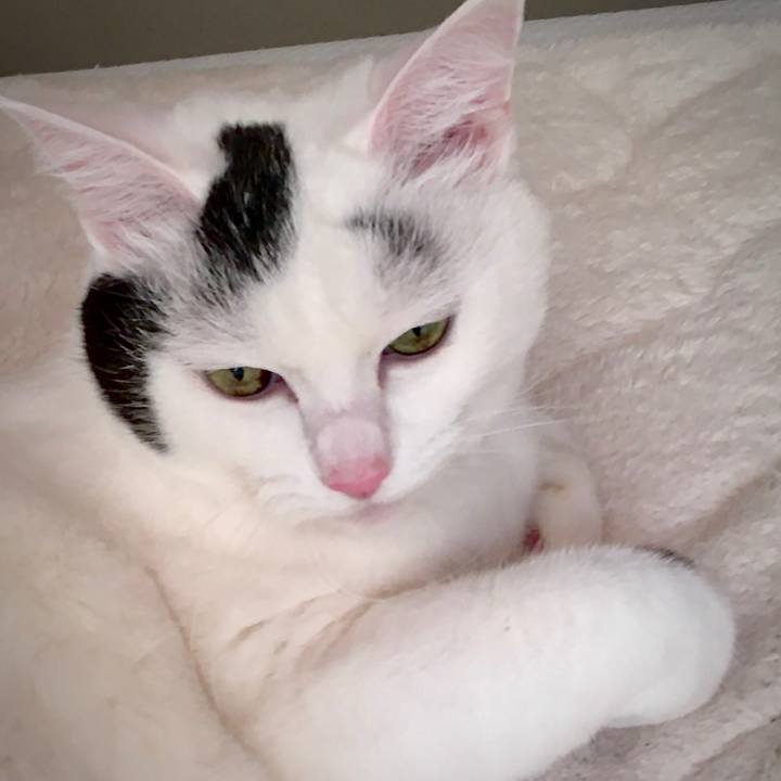 4ee9bb6e d92c 43fc bcfa d43c27c82c88 1575018965722