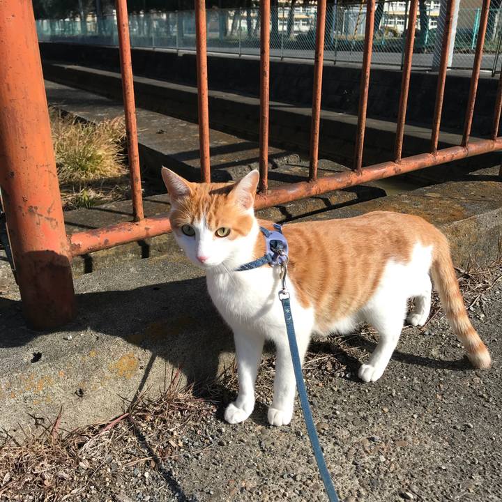 4eea24a1 dfe8 4565 b1ad 1330fa3cf06d 1515895035969