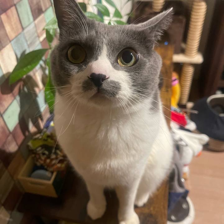 4eea2758 5603 487a 8910 7695d390c17c 1738233652206