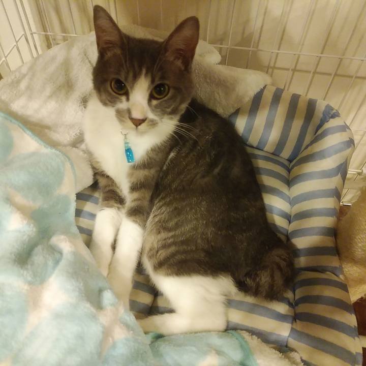 4eea354a 7e1c 4625 bcd0 c48ec2945cef 1591887796824