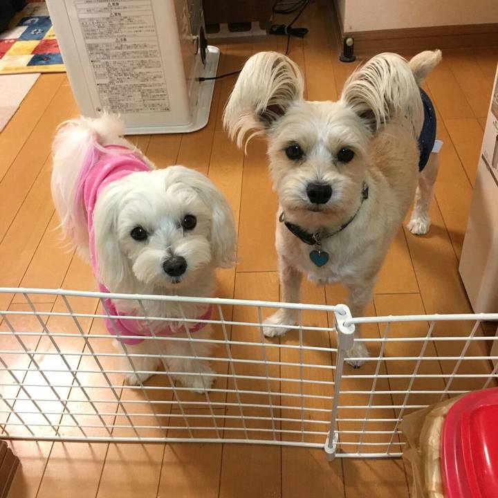 4eea419e 0119 4a21 8fd3 529828021791 1510787073485