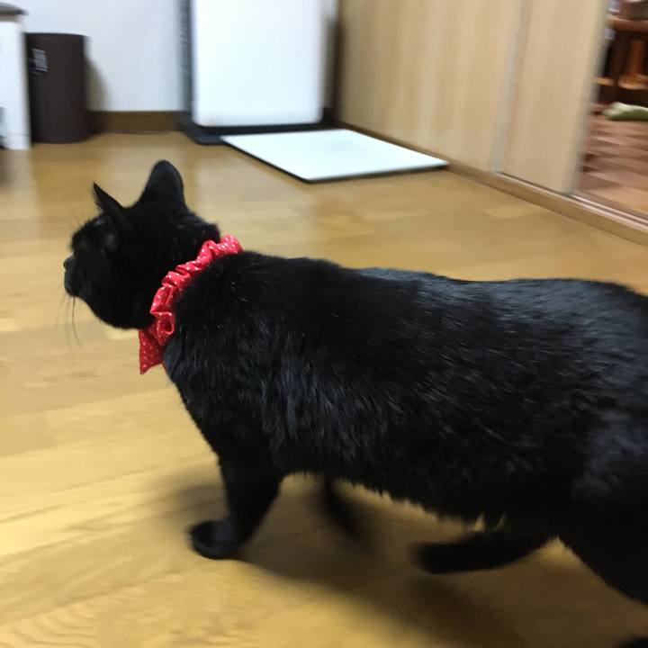 4eea58e9 0920 457b bdb9 12f7dab21287 1544533367302