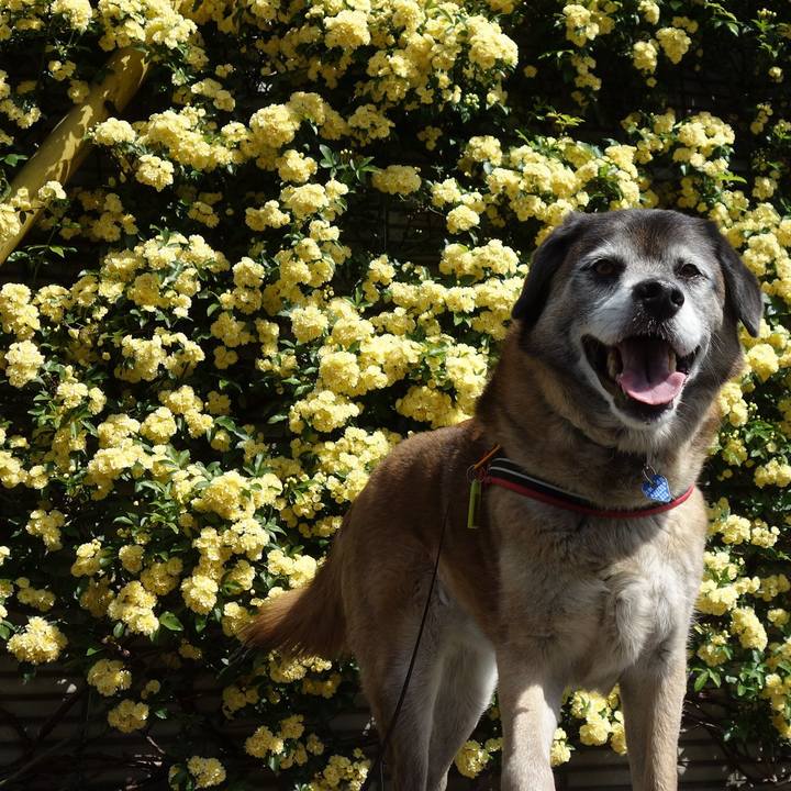 4eea59e8 e382 4603 8eb0 5f37b93fdcb2 1665966688753