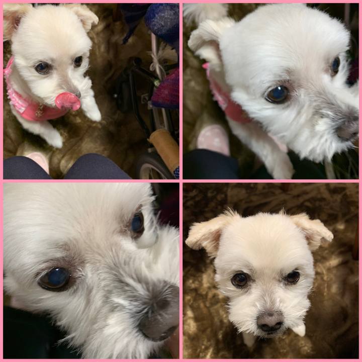 4eea9313 f024 4805 aa1b 9d45966898cd 1640082202850