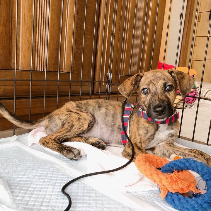 4eeaa389 4037 48d3 9c69 287108dd86d6 1567571570039