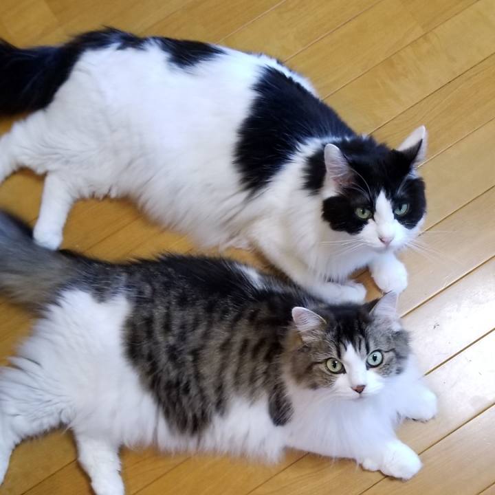 4eeab7d5 c246 43a4 92eb b1d44d823f66 1570918389275