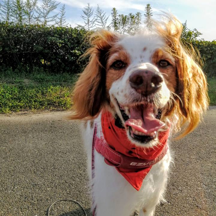 4eeac0ec 9708 4565 87cf 67929df07f50 1626960417912