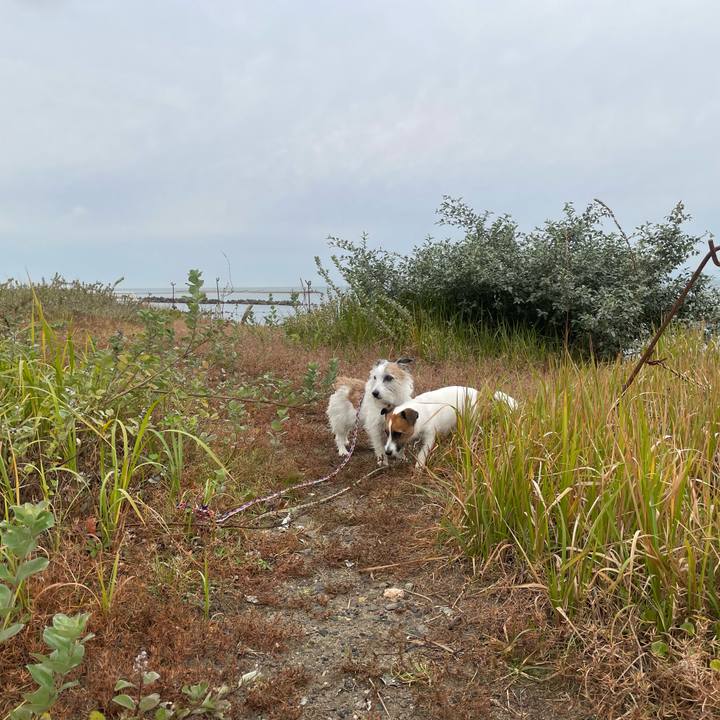 4eead53f cbb6 4423 b438 f5bbdfa51beb 1761865554068