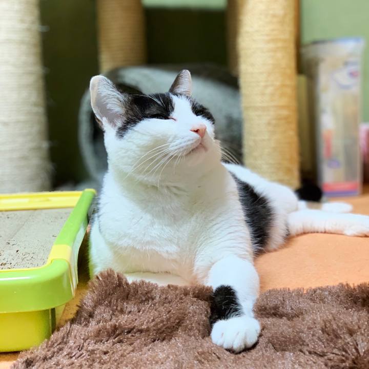 4eeb1d9c 68c9 48a1 8ac2 01451f549abc 1552614527067