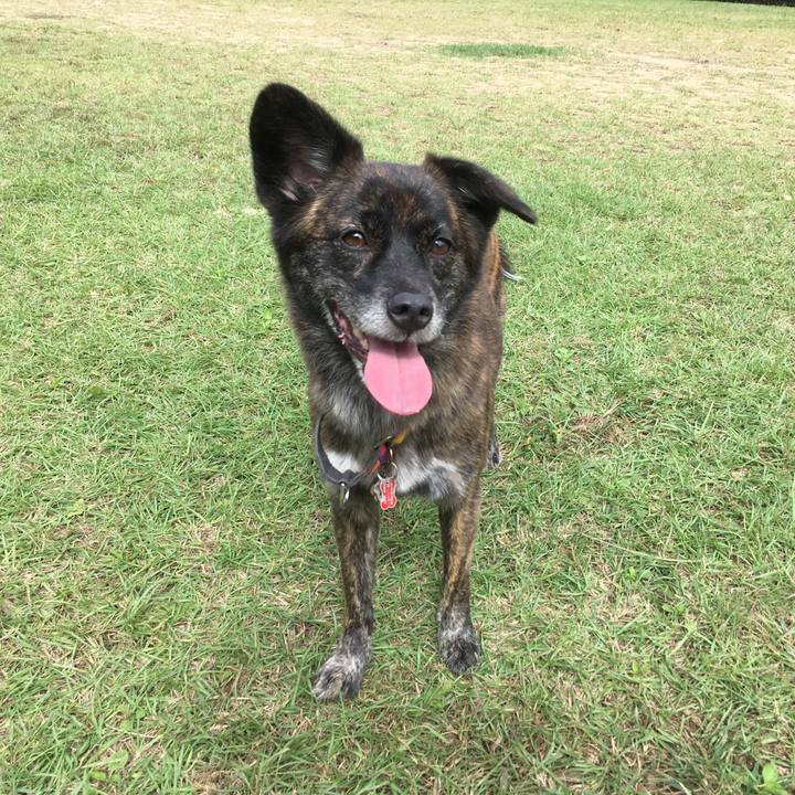 4eeb6708 75ac 4022 ac59 5cf0abd6772c 1508477620338