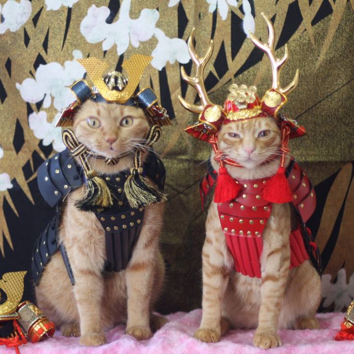 4eec0ee5 2ab9 47a4 81ae 69716902a57b 1683256151186